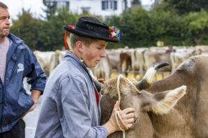 Appenzell, Appenzell Ausserrohden, Brauchtum, Landwirtschaft, Ostschweiz, Schweiz, Speicher, Suisse, Switzerland, Viehschau, Wirtschaft