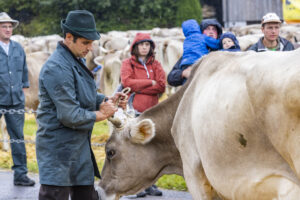 Appenzell, Appenzell Ausserrohden, Brauchtum, Landwirtschaft, Ostschweiz, Schweiz, Speicher, Suisse, Switzerland, Viehschau, Wirtschaft