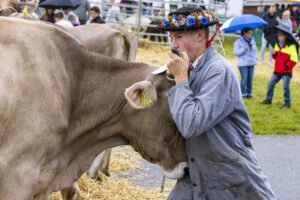 Appenzell, Appenzell Ausserrohden, Brauchtum, Landwirtschaft, Ostschweiz, Schweiz, Speicher, Suisse, Switzerland, Viehschau, Wirtschaft