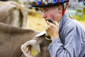 Appenzell, Appenzell Ausserrohden, Brauchtum, Landwirtschaft, Ostschweiz, Schweiz, Speicher, Suisse, Switzerland, Viehschau, Wirtschaft
