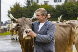 Appenzell, Appenzell Ausserrohden, Brauchtum, Landwirtschaft, Ostschweiz, Schweiz, Speicher, Suisse, Switzerland, Viehschau, Wirtschaft