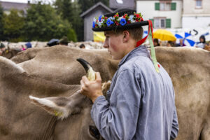 Appenzell, Appenzell Ausserrohden, Brauchtum, Landwirtschaft, Ostschweiz, Schweiz, Speicher, Suisse, Switzerland, Viehschau, Wirtschaft