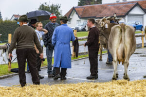 Appenzell, Appenzell Ausserrohden, Brauchtum, Landwirtschaft, Ostschweiz, Schweiz, Speicher, Suisse, Switzerland, Viehschau, Wirtschaft