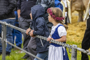 Appenzell, Appenzell Ausserrohden, Brauchtum, Landwirtschaft, Ostschweiz, Schweiz, Speicher, Suisse, Switzerland, Viehschau, Wirtschaft