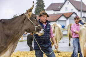 Appenzell, Appenzell Ausserrohden, Brauchtum, Landwirtschaft, Ostschweiz, Schweiz, Speicher, Suisse, Switzerland, Viehschau, Wirtschaft