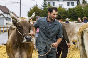 Appenzell, Appenzell Ausserrohden, Brauchtum, Landwirtschaft, Ostschweiz, Schweiz, Speicher, Suisse, Switzerland, Viehschau, Wirtschaft