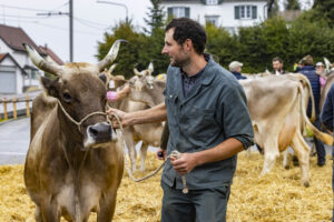 Appenzell, Appenzell Ausserrohden, Brauchtum, Landwirtschaft, Ostschweiz, Schweiz, Speicher, Suisse, Switzerland, Viehschau, Wirtschaft