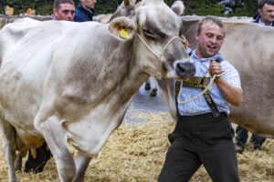 Appenzell, Appenzell Ausserrohden, Brauchtum, Landwirtschaft, Ostschweiz, Schweiz, Speicher, Suisse, Switzerland, Viehschau, Wirtschaft