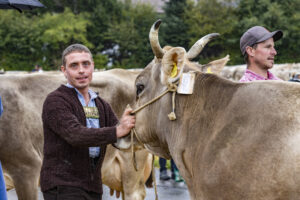 Appenzell, Appenzell Ausserrohden, Brauchtum, Landwirtschaft, Ostschweiz, Schweiz, Speicher, Suisse, Switzerland, Viehschau, Wirtschaft