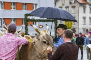 Appenzell, Appenzell Ausserrohden, Brauchtum, Landwirtschaft, Ostschweiz, Schweiz, Speicher, Suisse, Switzerland, Viehschau, Wirtschaft