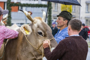 Appenzell, Appenzell Ausserrohden, Brauchtum, Landwirtschaft, Ostschweiz, Schweiz, Speicher, Suisse, Switzerland, Viehschau, Wirtschaft