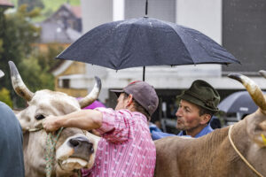 Appenzell, Appenzell Ausserrohden, Brauchtum, Landwirtschaft, Ostschweiz, Schweiz, Speicher, Suisse, Switzerland, Viehschau, Wirtschaft