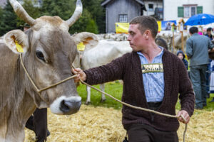 Appenzell, Appenzell Ausserrohden, Brauchtum, Landwirtschaft, Ostschweiz, Schweiz, Speicher, Suisse, Switzerland, Viehschau, Wirtschaft