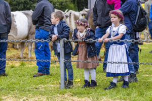 Appenzell, Appenzell Ausserrohden, Brauchtum, Landwirtschaft, Ostschweiz, Schweiz, Speicher, Suisse, Switzerland, Viehschau, Wirtschaft