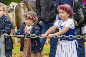 Appenzell, Appenzell Ausserrohden, Brauchtum, Landwirtschaft, Ostschweiz, Schweiz, Speicher, Suisse, Switzerland, Viehschau, Wirtschaft
