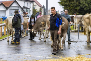 Appenzell, Appenzell Ausserrohden, Brauchtum, Landwirtschaft, Ostschweiz, Schweiz, Speicher, Suisse, Switzerland, Viehschau, Wirtschaft