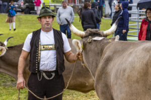 Appenzell, Appenzell Ausserrohden, Brauchtum, Landwirtschaft, Ostschweiz, Schweiz, Speicher, Suisse, Switzerland, Viehschau, Wirtschaft