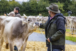 Appenzell, Appenzell Ausserrohden, Brauchtum, Landwirtschaft, Ostschweiz, Schweiz, Speicher, Suisse, Switzerland, Viehschau, Wirtschaft