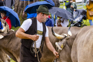 Appenzell, Appenzell Ausserrohden, Brauchtum, Landwirtschaft, Ostschweiz, Schweiz, Speicher, Suisse, Switzerland, Viehschau, Wirtschaft