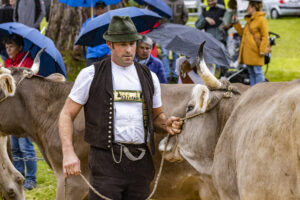 Appenzell, Appenzell Ausserrohden, Brauchtum, Landwirtschaft, Ostschweiz, Schweiz, Speicher, Suisse, Switzerland, Viehschau, Wirtschaft