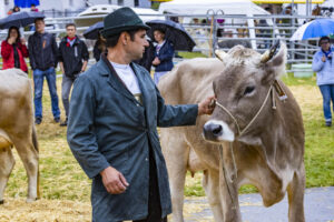 Appenzell, Appenzell Ausserrohden, Brauchtum, Landwirtschaft, Ostschweiz, Schweiz, Speicher, Suisse, Switzerland, Viehschau, Wirtschaft