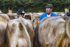 Appenzell, Appenzell Ausserrohden, Brauchtum, Landwirtschaft, Ostschweiz, Schweiz, Speicher, Suisse, Switzerland, Viehschau, Wirtschaft