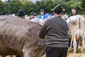 Appenzell, Appenzell Ausserrohden, Brauchtum, Landwirtschaft, Ostschweiz, Schweiz, Speicher, Suisse, Switzerland, Viehschau, Wirtschaft