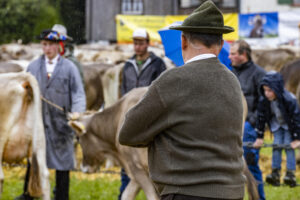 Appenzell, Appenzell Ausserrohden, Brauchtum, Landwirtschaft, Ostschweiz, Schweiz, Speicher, Suisse, Switzerland, Viehschau, Wirtschaft
