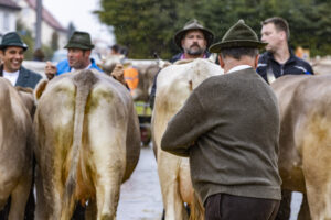 Appenzell, Appenzell Ausserrohden, Brauchtum, Landwirtschaft, Ostschweiz, Schweiz, Speicher, Suisse, Switzerland, Viehschau, Wirtschaft