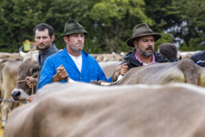 Appenzell, Appenzell Ausserrohden, Brauchtum, Landwirtschaft, Ostschweiz, Schweiz, Speicher, Suisse, Switzerland, Viehschau, Wirtschaft