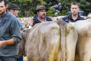 Appenzell, Appenzell Ausserrohden, Brauchtum, Landwirtschaft, Ostschweiz, Schweiz, Speicher, Suisse, Switzerland, Viehschau, Wirtschaft
