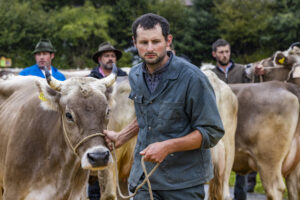 Appenzell, Appenzell Ausserrohden, Brauchtum, Landwirtschaft, Ostschweiz, Schweiz, Speicher, Suisse, Switzerland, Viehschau, Wirtschaft