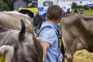 Appenzell, Appenzell Ausserrohden, Brauchtum, Landwirtschaft, Ostschweiz, Schweiz, Speicher, Suisse, Switzerland, Viehschau, Wirtschaft