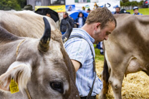 Appenzell, Appenzell Ausserrohden, Brauchtum, Landwirtschaft, Ostschweiz, Schweiz, Speicher, Suisse, Switzerland, Viehschau, Wirtschaft