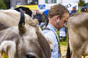 Appenzell, Appenzell Ausserrohden, Brauchtum, Landwirtschaft, Ostschweiz, Schweiz, Speicher, Suisse, Switzerland, Viehschau, Wirtschaft