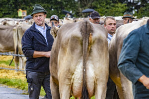 Appenzell, Appenzell Ausserrohden, Brauchtum, Landwirtschaft, Ostschweiz, Schweiz, Speicher, Suisse, Switzerland, Viehschau, Wirtschaft