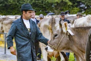 Appenzell, Appenzell Ausserrohden, Brauchtum, Landwirtschaft, Ostschweiz, Schweiz, Speicher, Suisse, Switzerland, Viehschau, Wirtschaft