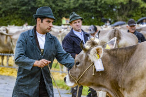 Appenzell, Appenzell Ausserrohden, Brauchtum, Landwirtschaft, Ostschweiz, Schweiz, Speicher, Suisse, Switzerland, Viehschau, Wirtschaft
