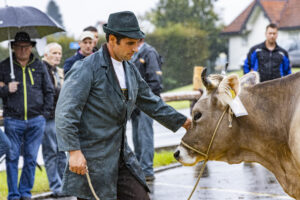 Appenzell, Appenzell Ausserrohden, Brauchtum, Landwirtschaft, Ostschweiz, Schweiz, Speicher, Suisse, Switzerland, Viehschau, Wirtschaft
