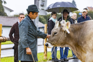 Appenzell, Appenzell Ausserrohden, Brauchtum, Landwirtschaft, Ostschweiz, Schweiz, Speicher, Suisse, Switzerland, Viehschau, Wirtschaft