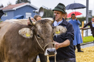 Appenzell, Appenzell Ausserrohden, Brauchtum, Landwirtschaft, Ostschweiz, Schweiz, Speicher, Suisse, Switzerland, Viehschau, Wirtschaft