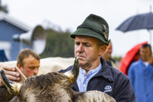 Appenzell, Appenzell Ausserrohden, Brauchtum, Landwirtschaft, Ostschweiz, Schweiz, Speicher, Suisse, Switzerland, Viehschau, Wirtschaft