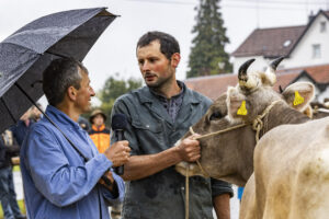 Appenzell, Appenzell Ausserrohden, Brauchtum, Landwirtschaft, Ostschweiz, Schweiz, Speicher, Suisse, Switzerland, Viehschau, Wirtschaft