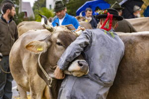 Appenzell, Appenzell Ausserrohden, Brauchtum, Landwirtschaft, Ostschweiz, Schweiz, Speicher, Suisse, Switzerland, Viehschau, Wirtschaft