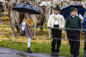Appenzell, Appenzell Ausserrohden, Brauchtum, Landwirtschaft, Ostschweiz, Schweiz, Speicher, Suisse, Switzerland, Viehschau, Wirtschaft