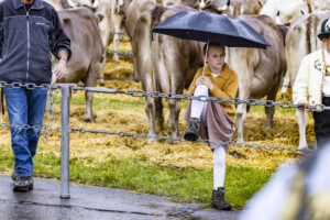 Appenzell, Appenzell Ausserrohden, Brauchtum, Landwirtschaft, Ostschweiz, Schweiz, Speicher, Suisse, Switzerland, Viehschau, Wirtschaft