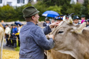 Appenzell, Appenzell Ausserrohden, Brauchtum, Landwirtschaft, Ostschweiz, Schweiz, Speicher, Suisse, Switzerland, Viehschau, Wirtschaft
