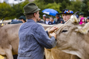 Appenzell, Appenzell Ausserrohden, Brauchtum, Landwirtschaft, Ostschweiz, Schweiz, Speicher, Suisse, Switzerland, Viehschau, Wirtschaft