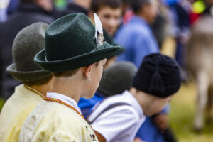 Appenzell, Appenzell Ausserrohden, Brauchtum, Landwirtschaft, Ostschweiz, Schweiz, Speicher, Suisse, Switzerland, Viehschau, Wirtschaft