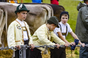 Appenzell, Appenzell Ausserrohden, Brauchtum, Landwirtschaft, Ostschweiz, Schweiz, Speicher, Suisse, Switzerland, Viehschau, Wirtschaft